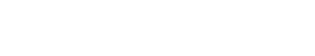 Fiiit LLC